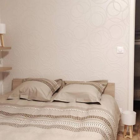 Le Cygne, Appartement De Standing En Hyper-Centre Sarreguemines Exteriér fotografie