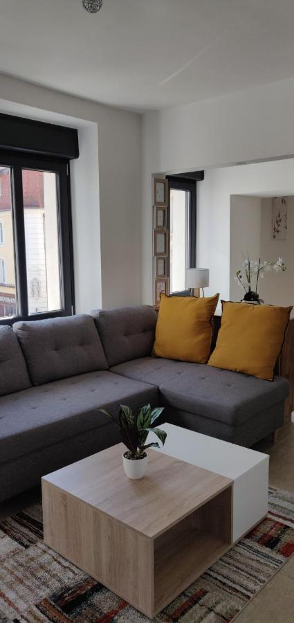 Le Cygne, Appartement De Standing En Hyper-Centre Sarreguemines Exteriér fotografie